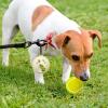Generic Dog Ball Holder - Silicone Dog Ball Bag view 3