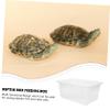 Transparent PVC Reptile Box with Ventilation Hole, White, Simple Design view 3