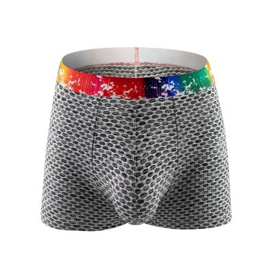 SRZYMJ Men's Low-Rise Boxer Briefs, Ice-Silk Modal, Gray, XL