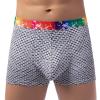 SRZYMJ Men's Low-Rise Boxer Briefs, Ice-Silk Modal, Gray, XL view 3