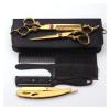 6.0-Inch Gold Hairdressing Scissors Set view 1
