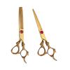 6.0-Inch Gold Hairdressing Scissors Set view 2