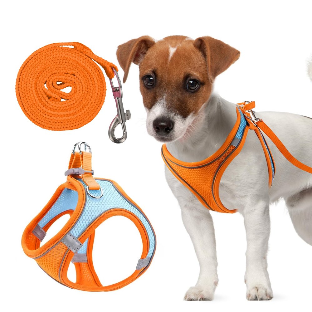 Adjustable Cat Harness with 1.5m Leash