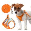 Adjustable Cat Harness with 1.5m Leash view 1