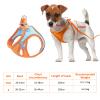 Adjustable Cat Harness with 1.5m Leash view 2