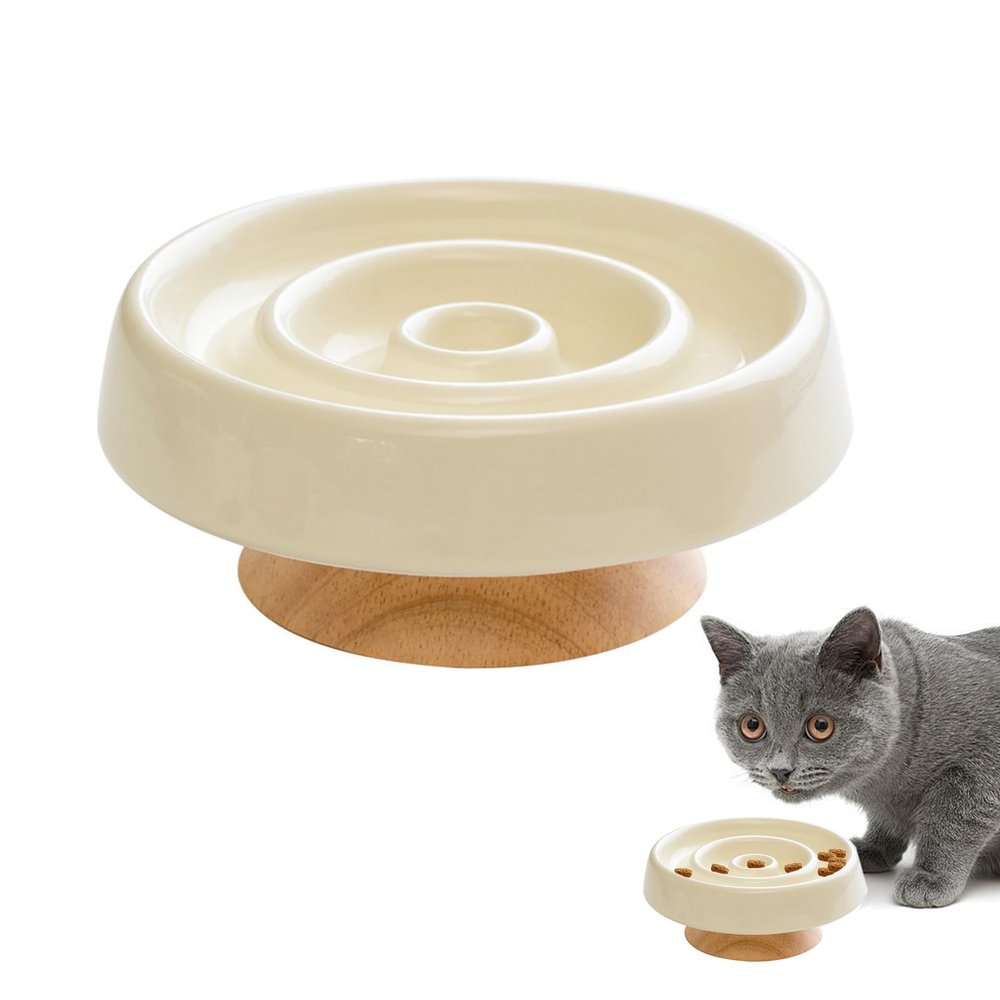 Pasdrucn Ceramic Slow Feeder Bowl for Cats and Small Dogs, White