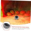 BCOATH Reptile Feeding Bowl view 3