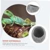 BCOATH Reptile Feeding Bowl view 4