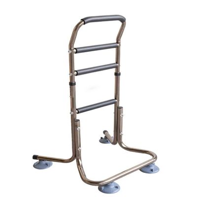 Chair Assist Rail for Seniors with Storage Bag, Adjustable Walking Cane and Bed Rail