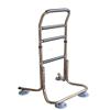 Chair Assist Rail for Seniors with Storage Bag, Adjustable Walking Cane and Bed Rail view 1