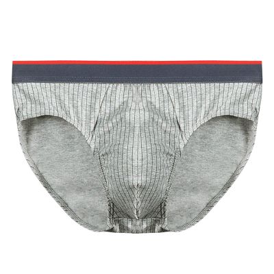 SRZYMJ Men's Cotton Underwear Boxer Shorts, 10-Pack, Gray, L