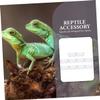 Milisten 20-Piece Reptile Feeding Bowl Set view 2
