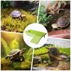Turtle Sun Platforms view 4