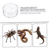 Yardwe Non-Slip Feeding and Water Bowl for Reptiles - 10 Pack view 4
