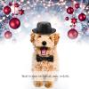 Pet Hat and Bow Tie Set view 3