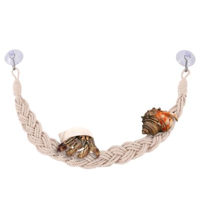 Reptile Vine Toy, Hermit Crab Toy