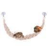 Reptile Vine Toy, Hermit Crab Toy view 1