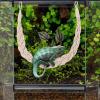 Reptile Vine Toy, Hermit Crab Toy view 2
