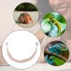 Reptile Vine Toy, Hermit Crab Toy view 4