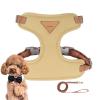 Cat Harness and Leash Set view 1