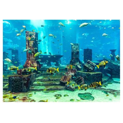Masyrt Aquarium Background Film
