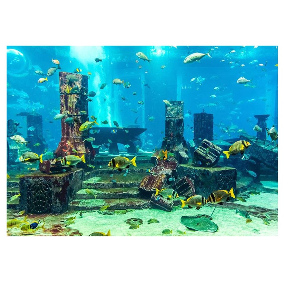Masyrt Aquarium Background Film