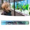 Masyrt Aquarium Background Film view 4