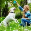 Humkopnl Squeaky Ball for Dogs view 2