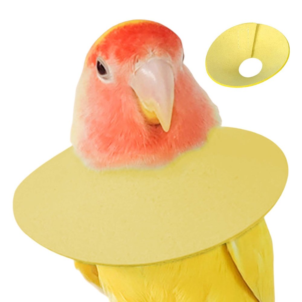 Parrot Collar | Elizabethan Collar for Parrots