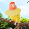 Parrot Collar | Elizabethan Collar for Parrots view 2