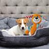 Plush Squeaky Toy for Dogs view 3