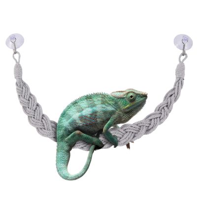 Hermit Crab Climbing Toy