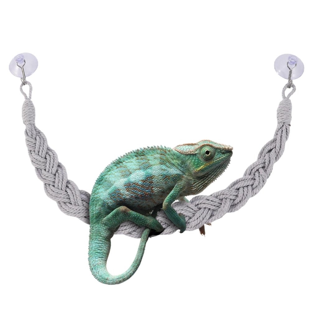Hermit Crab Climbing Toy