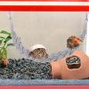 Hermit Crab Climbing Toy view 3