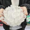 Natural Clear Quartz Cluster Ornament, 610–700 g view 2