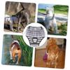 CIYODO Dog Diaper with Brilliant Pattern Design for Puppies and Small Dogs view 2