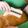 Pet Flea Comb for Cats view 3