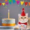 Cat Birthday Hat view 2