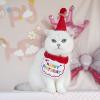 Cat Birthday Hat view 3