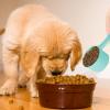 Pet Food Measuring Spoon, 100g Capacity view 2