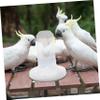 Happyyami Automatic Bird Feeder and Water Bowl, Plastic, Large Capacity, for Bird Cages, Suitable for Budgies and Other Birds view 4