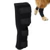 Adjustable Dog Hip and Leg Support Bandage view 1