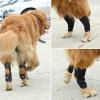 Adjustable Dog Hip and Leg Support Bandage view 2