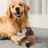 Bvizyelck Squeaky Dog Toy view 2