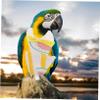 BESPORTBLE Reusable Parrot Flight Suit view 3