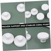 BELLIFFY 15-Piece Ceramic Coral Frag Plugs, 2.1 cm, for Saltwater Aquariums view 3