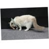 Happyyami Lightweight Nylon Cat Collar view 4