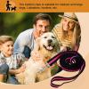 Pet Traction Leash - Dog Safety Belt for Car view 3