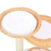 ZEYUAN Cat Scratching Tree with Sisal and Natural Willow Wood - 170724 view 4