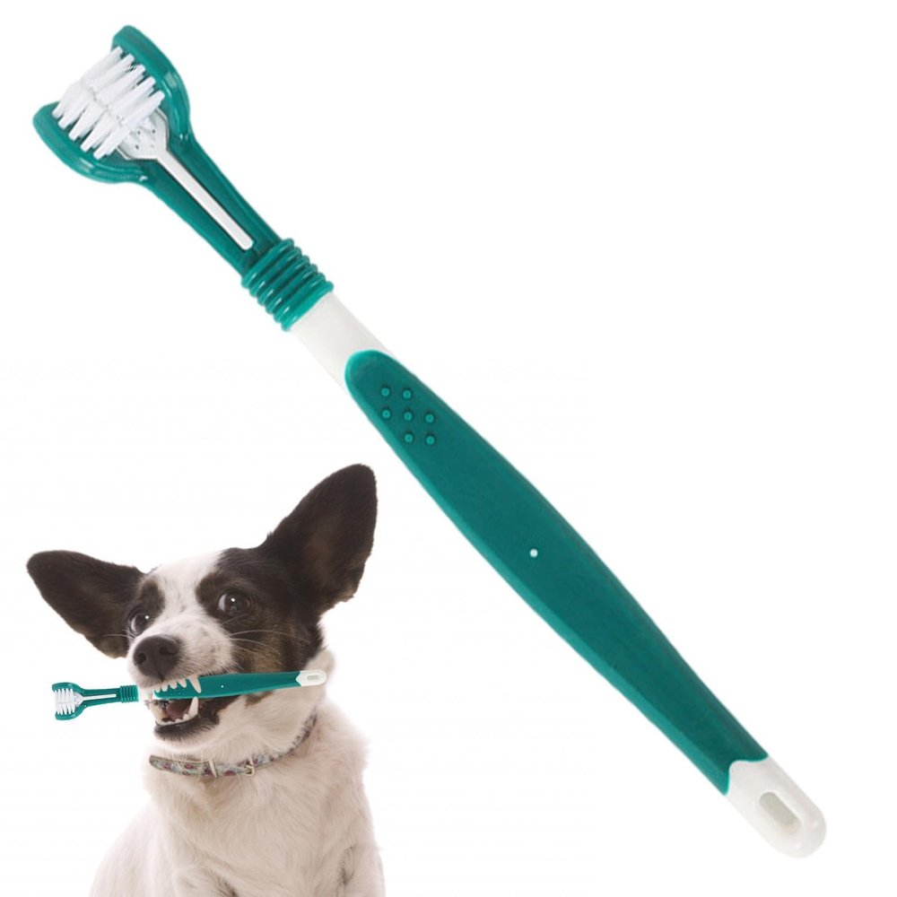 Pet Toothbrush with Soft Bristles